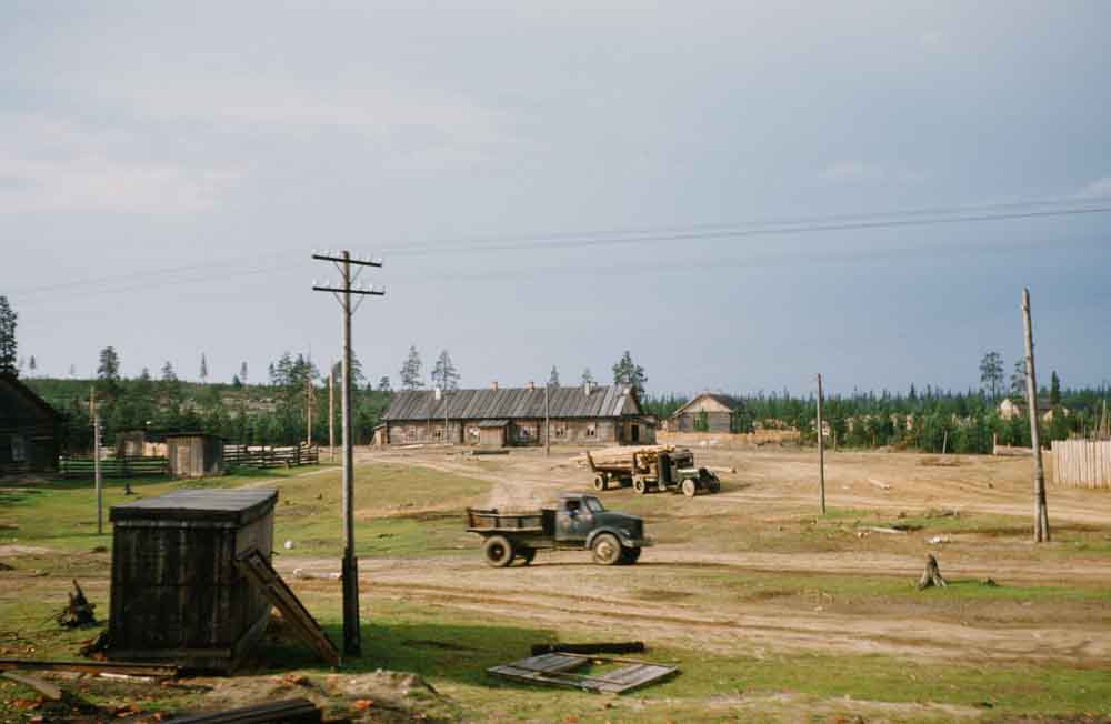 Вантажівки везуть ліс. Невідоме село